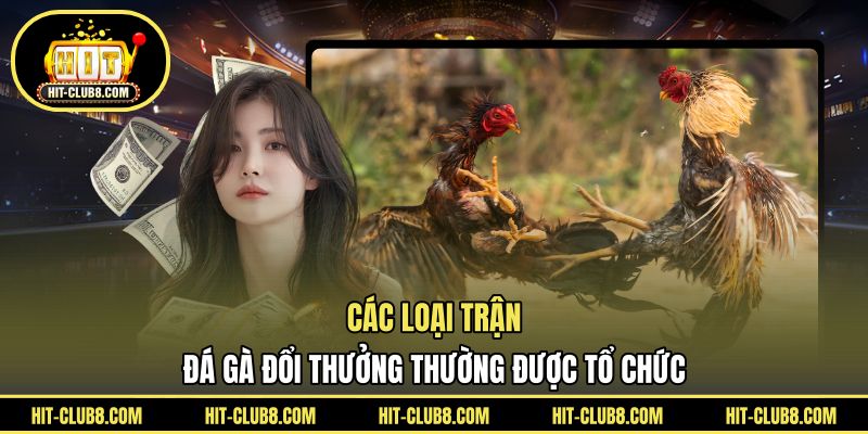 Các loại trận đá gà đổi thưởng thường được tổ chức