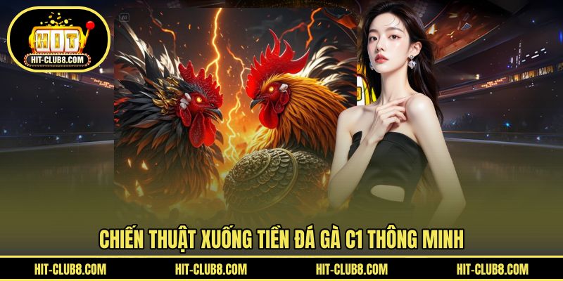 Chiến thuật cược gà C1 hiệu quả