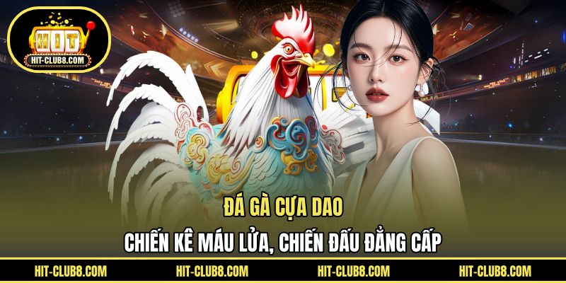 Đá Gà Cựa Dao - Chiến Kê Máu Lửa, Chiến Đấu Đẳng Cấp