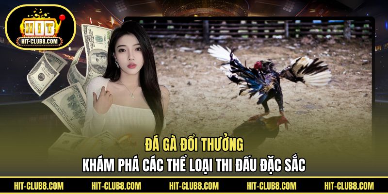 Đá Gà Đổi Thưởng - Khám Phá Các Thể Loại Thi Đấu Đặc Sắc