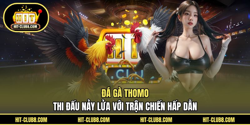 Đá Gà Thomo - Thi Đấu Nảy Lửa Với Trận Chiến Hấp Dẫn