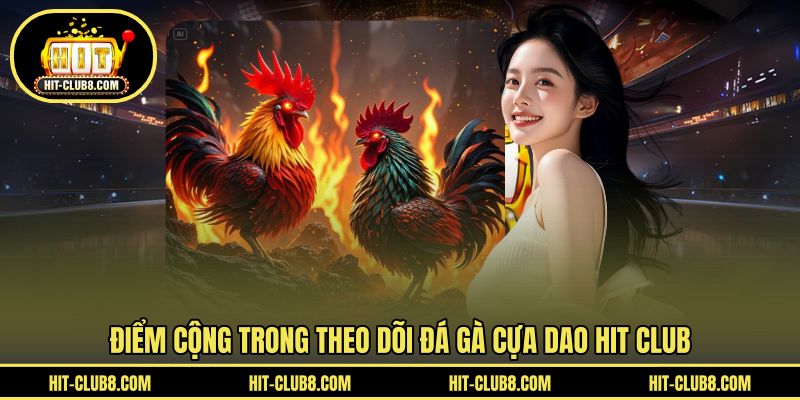 Ưu điểm gà cựa dao thi đấu ấn tượng