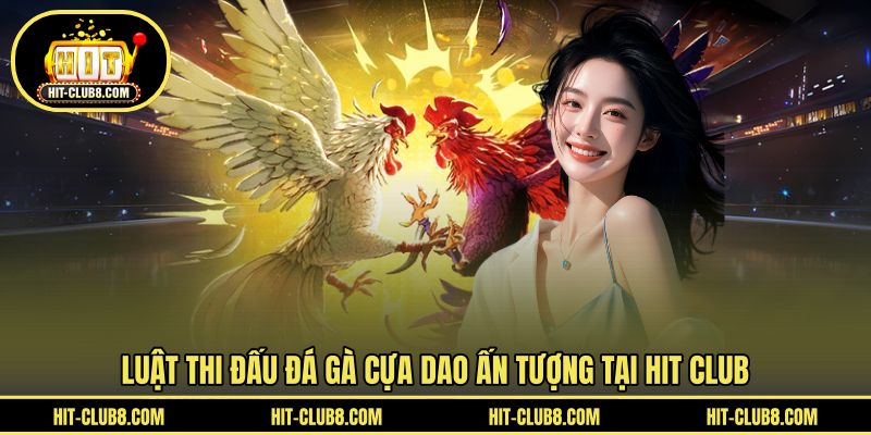 Luật dễ hiểu trong trận đấu gà cựa dao
