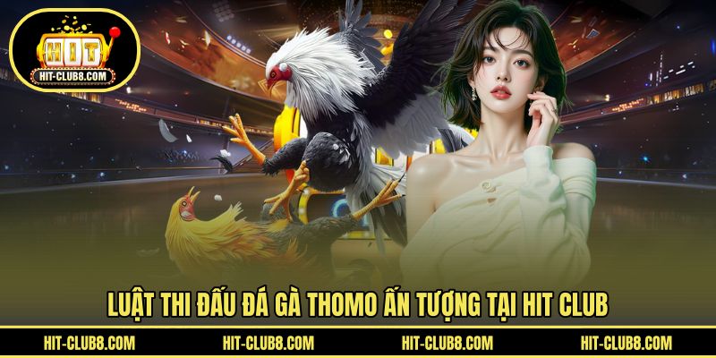 Luật dễ hiểu khi chiến kê tranh tài