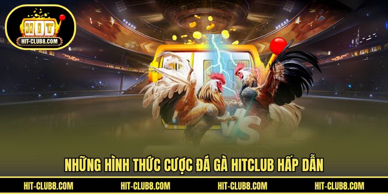 Hình thức cược đa dạng khi cược đá gà