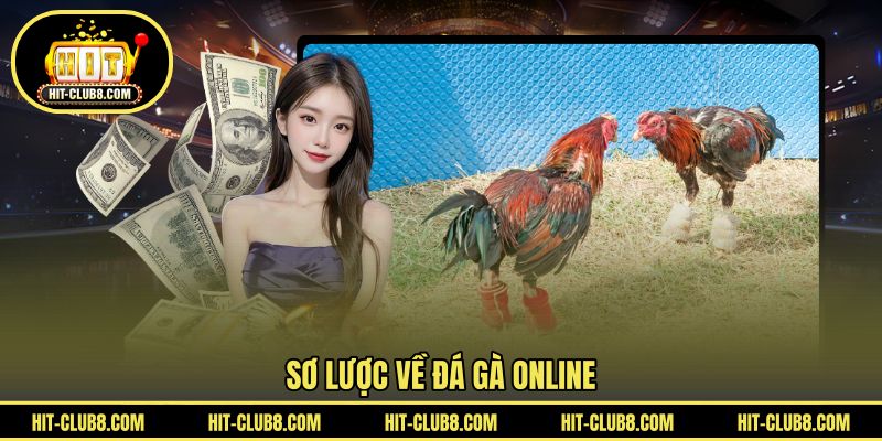Sơ lược về đá gà online